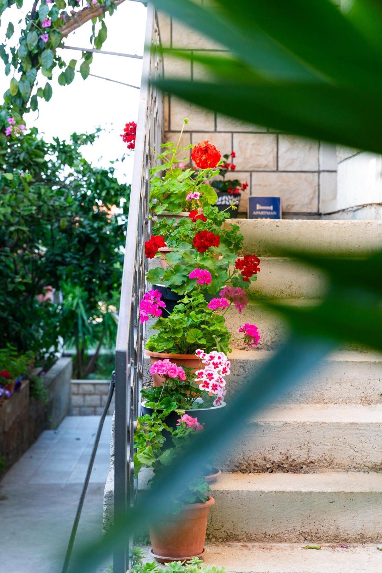 Apartments Martic Supetar Dış mekan fotoğraf