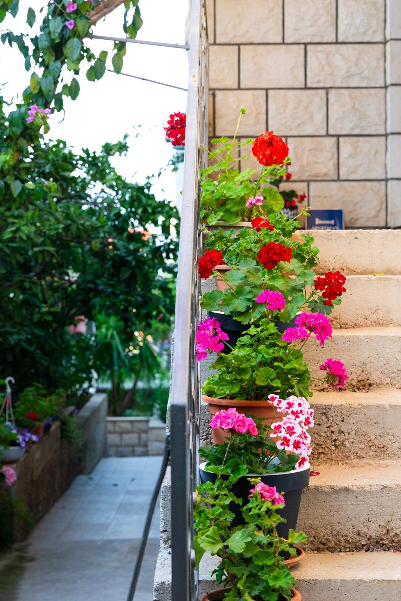 Apartments Martic Supetar Dış mekan fotoğraf